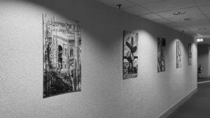 interior design in hotel