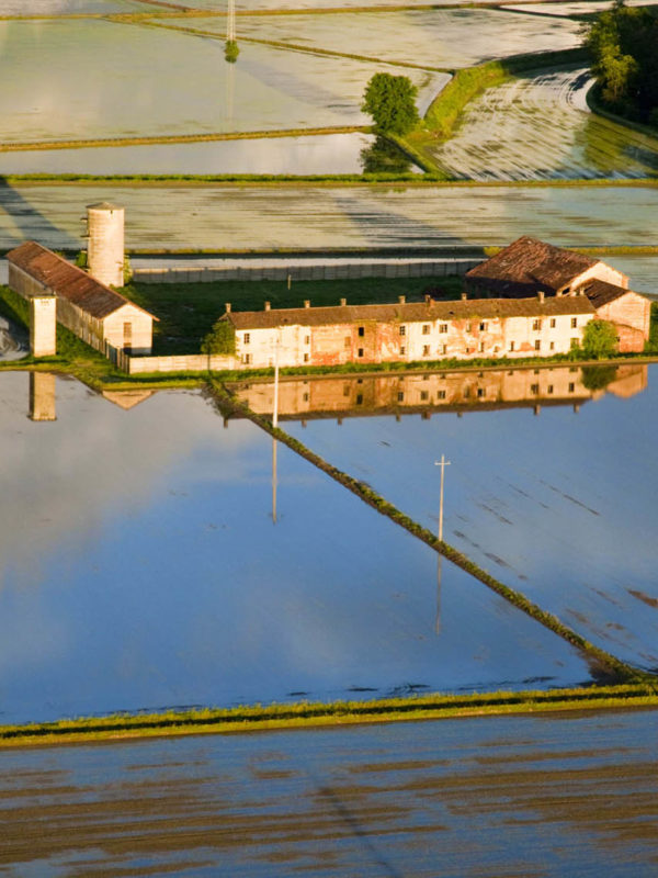 Veduta aerea della Lomellina con risaie al tramonto